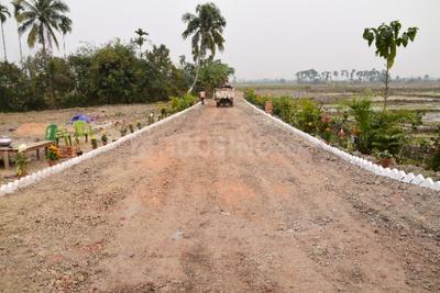 Residential Plot