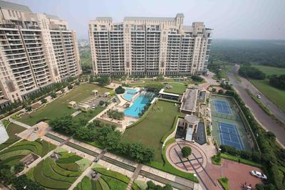 Gallery Cover Image of 6400 Sq.ft 4 BHK Apartment for rent in DLF Magnolias, Sector 42 for 375000