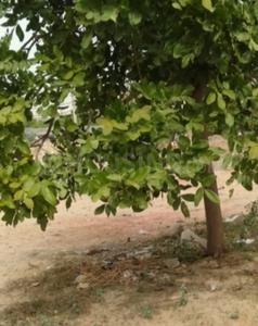Gallery Cover Image of Sq.ft Residential Plot for buy in Sector 42 for 27948000
