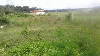 13050 Sq.ft Residential Plot for Sale in Guddehosuru, Kodagu