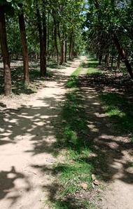 Gallery Cover Image of Sq.ft Residential Plot for buy in Chengalpattu for 3600000