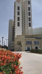 3 BHK Apartment