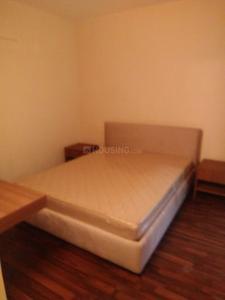 Gallery Cover Image of 495 Sq.ft 1 RK Apartment for rent in Sector 137 for 16000