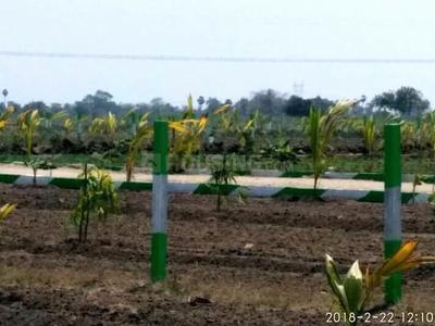 Residential Plot