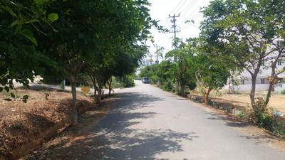 Residential Plot