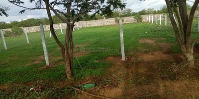 Residential Plot