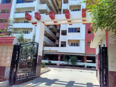 3 BHK Apartment