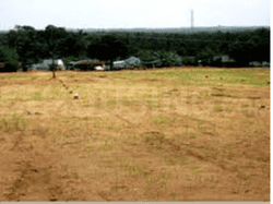 Residential Plot