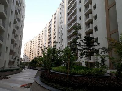 3 BHK Apartment