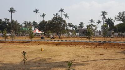 Residential Plot