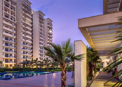 3 BHK Apartment
