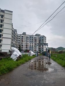 Gallery Cover Image of 590 Sq.ft 1 BHK Apartment for rent in Kaivalya Sai Abhyuday Complex, Nalasopara West for 6500