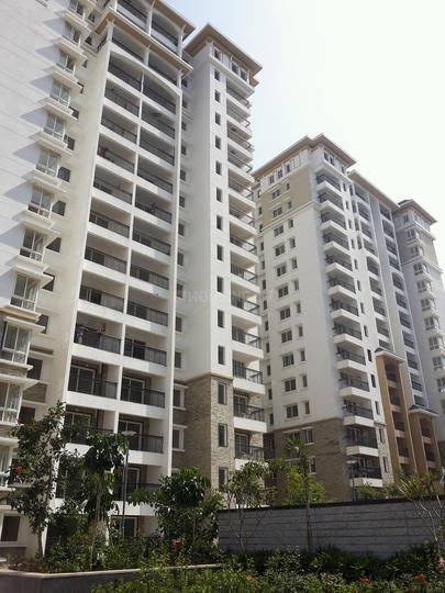 prestige jade gas stove price