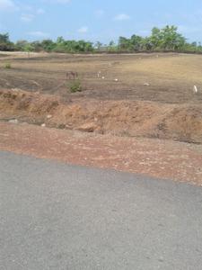 Gallery Cover Image of Sq.ft Residential Plot for buy in Kavoor for 13000000