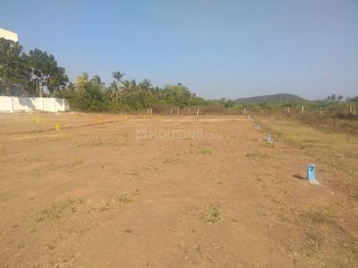 Residential Plot