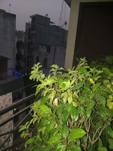 2 BHK Independent Floor
