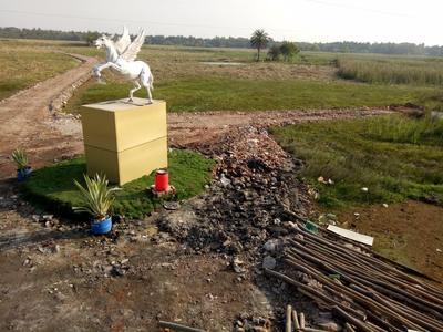 Gallery Cover Image of Sq.ft Residential Plot for buy in Amtala for 520000
