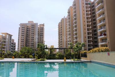 3 BHK Apartment
