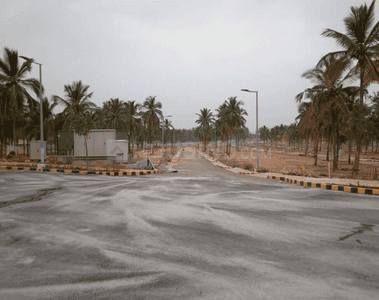 Residential Plot