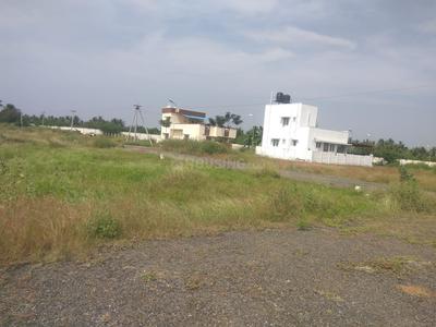 Residential Plot