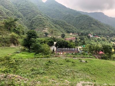 25200 Sq.ft Residential Plot for Sale in Nehrugram, Dehradun