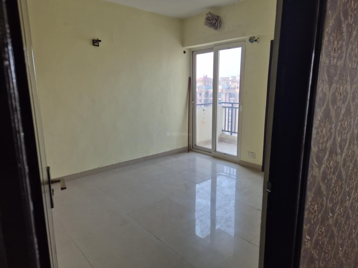 Sethi Max Royal - Image 10