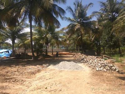 Residential Plot