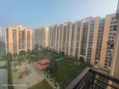 3 BHK Apartment