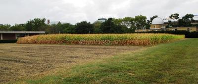 Gallery Cover Image of Sq.ft Residential Plot for buy in Andheri East for 5000000