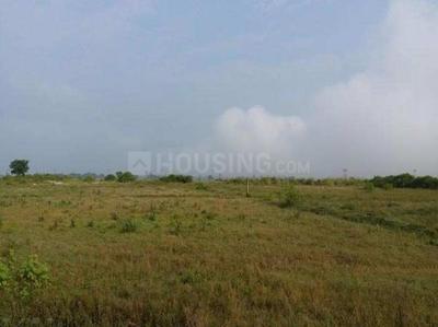 Residential Plot