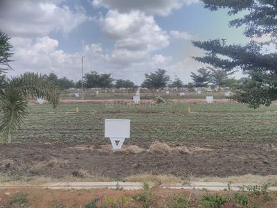 Residential Plot