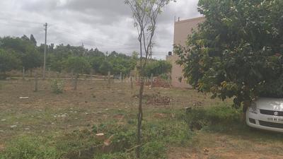 Gallery Cover Image of Sq.ft Residential Plot for buy in S.Bingipura for 5280000