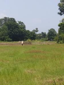 Gallery Cover Image of Sq.ft Residential Plot for buy in Sonarpur for 190000000