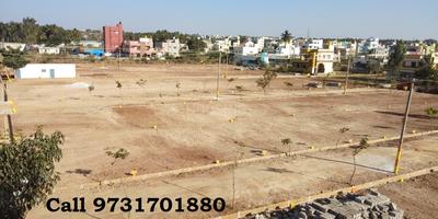 Residential Plot