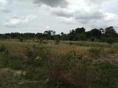 Gallery Cover Image of Sq.ft Residential Plot for buy in Hebbal for 7800000