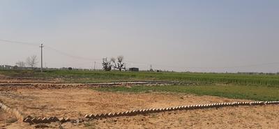 Residential Plot