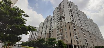 3 BHK Apartment