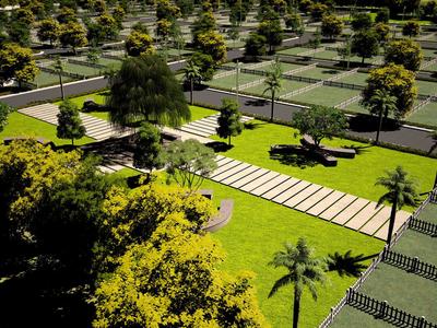 Residential Plot