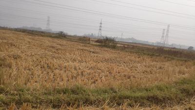 2400 Sq.ft Residential Plot for Sale in Kaliganj, Durgapur