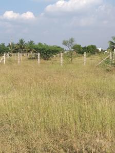 Residential Plot