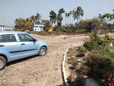 Gallery Cover Image of Sq.ft Residential Plot for buy in Shyamnagar for 440000