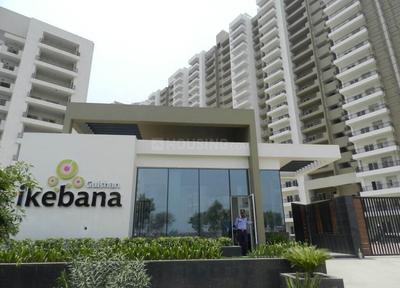 Gallery Cover Image of 1695 Sq.ft 3 BHK Apartment for buy in Sector 143 for 8390000