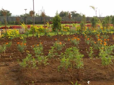 Residential Plot