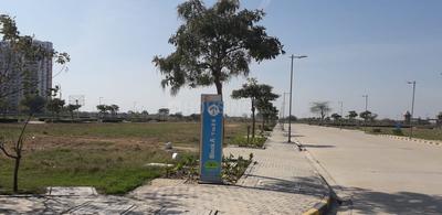 Gallery Cover Image of Sq.ft Residential Plot for buy in Yeida for 3000000
