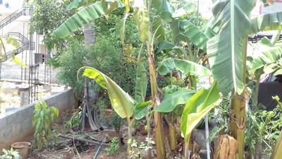 Residential Plot