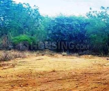 Gallery Cover Image of Sq.ft Residential Plot for buy in Shamshabad for 16500000