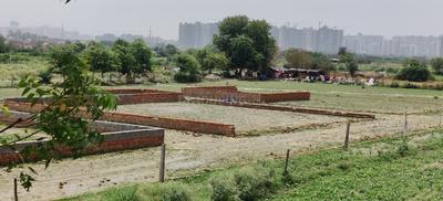 Residential Plot