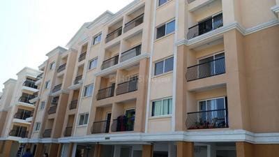 3 BHK Apartment