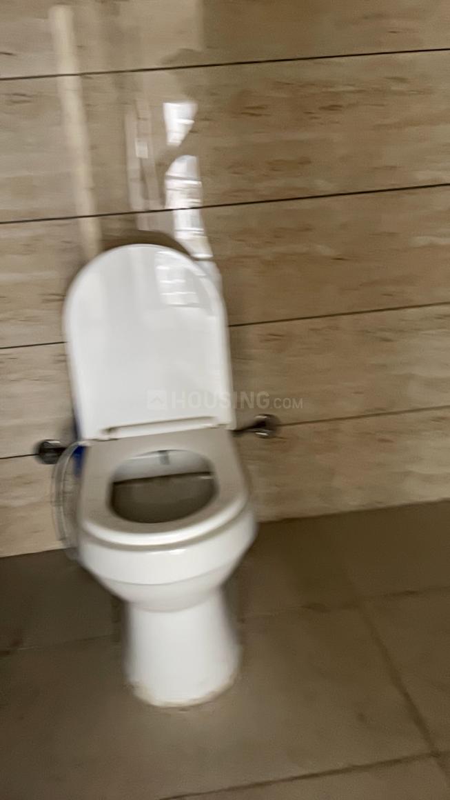 ACE Divino - Image 12