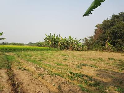 Residential Plot